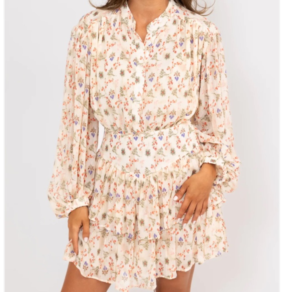 NWT Karlie dress